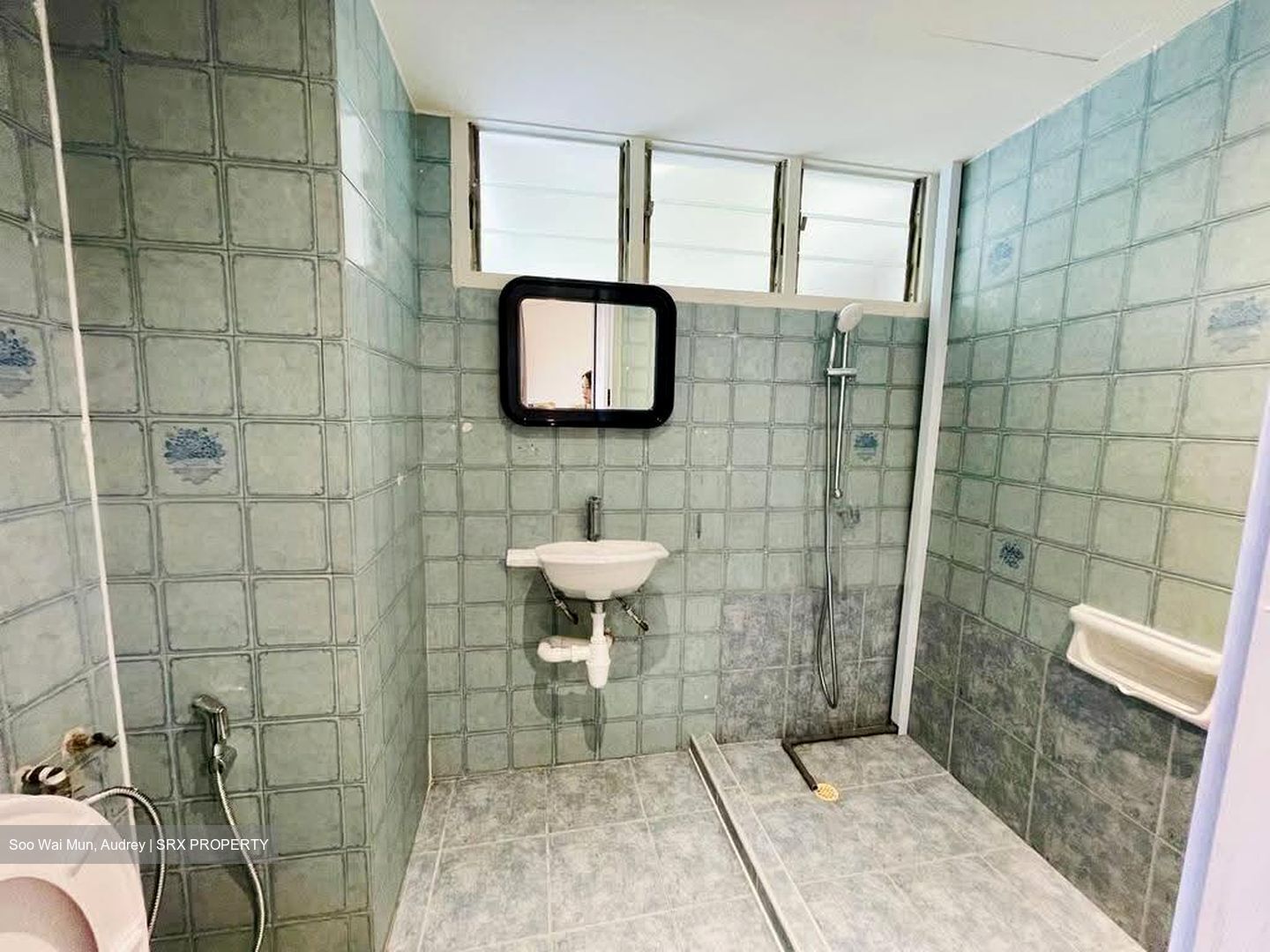 Dunearn Road (D11), Condominium #613519661